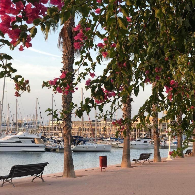 10-46-1- Комната В Квартире Для 4 Человек В Аликанте Alicante Dış mekan fotoğraf