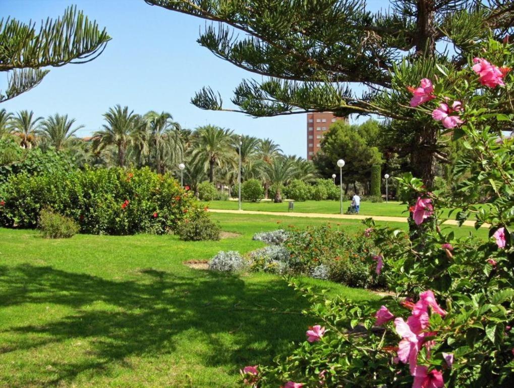 10-46-1- Комната В Квартире Для 4 Человек В Аликанте Alicante Dış mekan fotoğraf